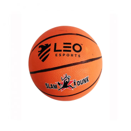 LEO Basketball – Size 7